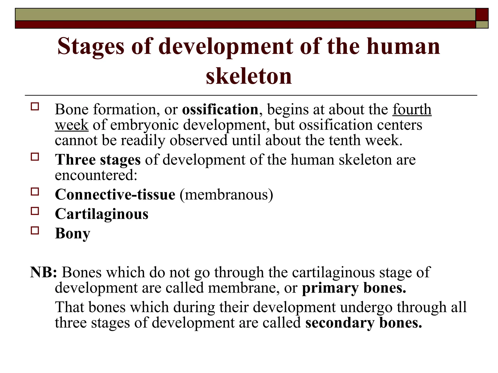 Stages of development of the human
skeleton
 Bone formation, or ossification, begins at about the fourth
week of embryonic development, but ossification centers
cannot be readily observed until about the tenth week.
 Three stages of development of the human skeleton are
encountered:
 Connective-tissue (membranous)
 Cartilaginous
 Bony
NB: Bones which do not go through the cartilaginous stage of
development are called membrane, or primary bones.
That bones which during their development undergo through all
three stages of development are called secondary bones.
 