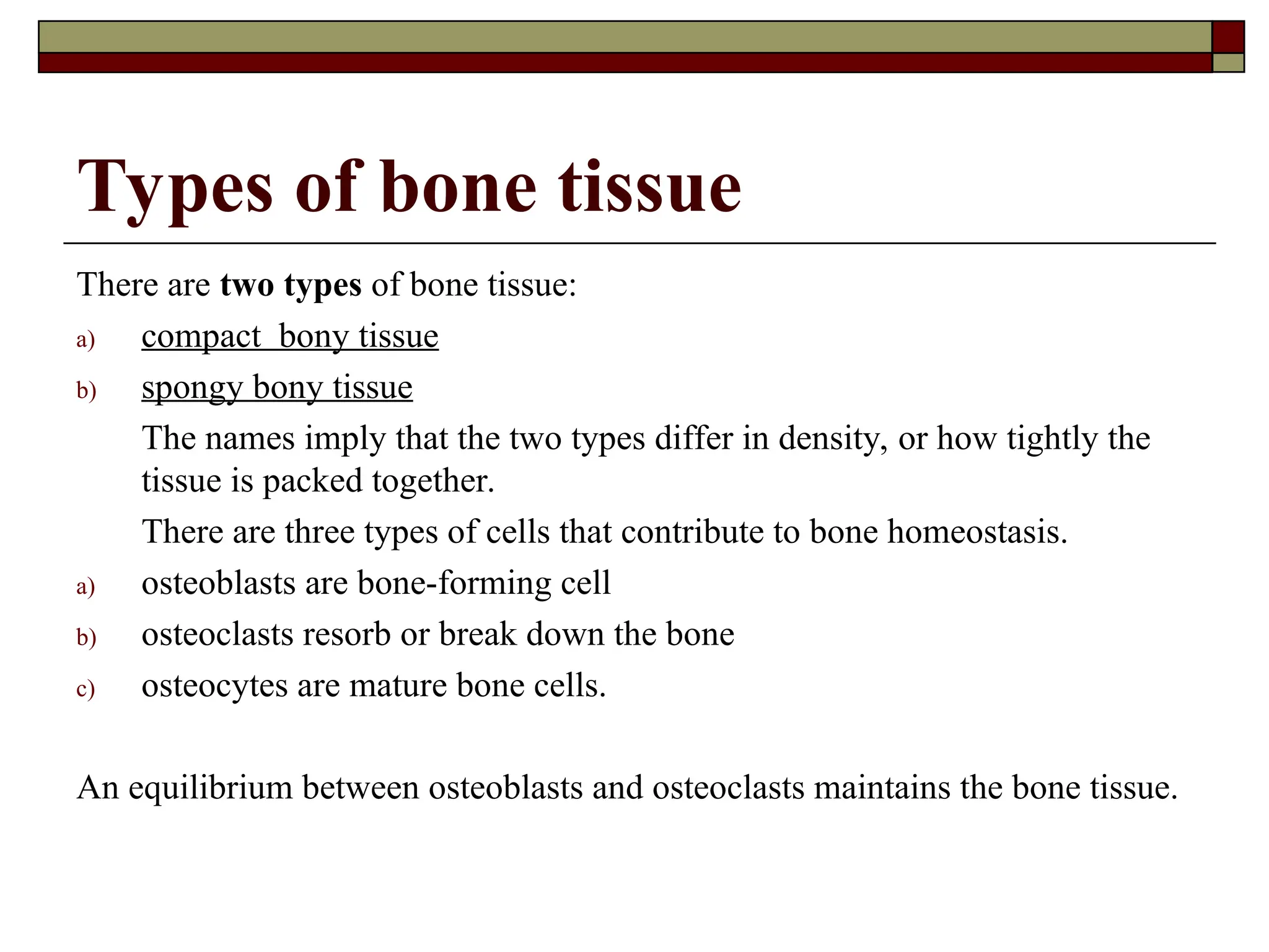 Types of bone tissue
There are two types of bone tissue:
a) compact bony tissue
b) spongy bony tissue
The names imply that the two types differ in density, or how tightly the
tissue is packed together.
There are three types of cells that contribute to bone homeostasis.
a) osteoblasts are bone-forming cell
b) osteoclasts resorb or break down the bone
c) osteocytes are mature bone cells.
An equilibrium between osteoblasts and osteoclasts maintains the bone tissue.
 