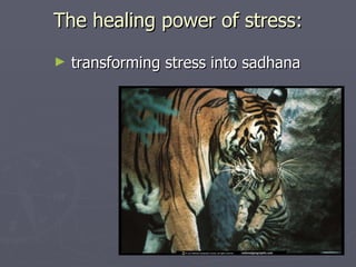 The healing power of stress: transforming stress into sadhana 