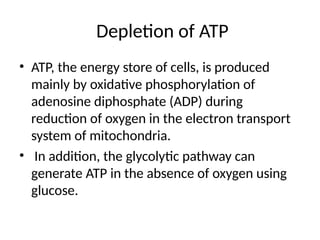 General Pathology.ppt salem f gerbadipathologybadi | PPT