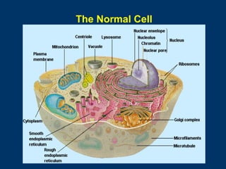 General pathology lecture 1 introduction & cell injury | PPT
