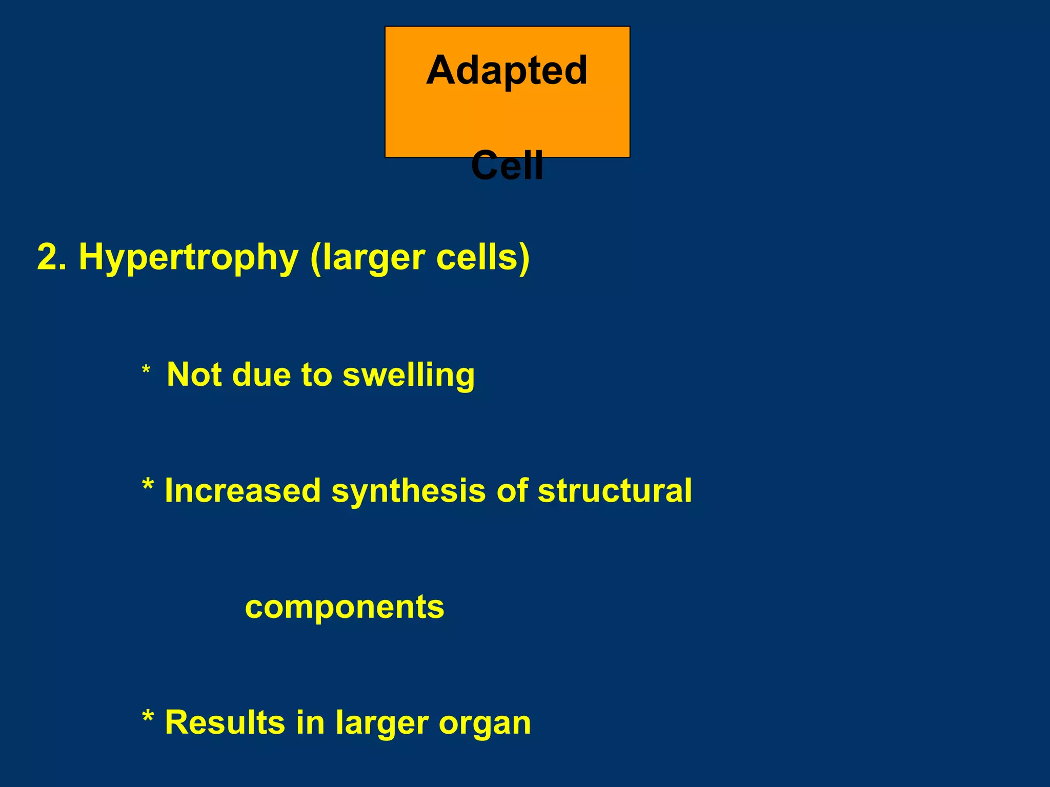 Adapted

                            Cell

2. Hypertrophy (larger cells)


      *   Not due to swelling


      * Increased synthesis of structural


              components


      * Results in larger organ
 