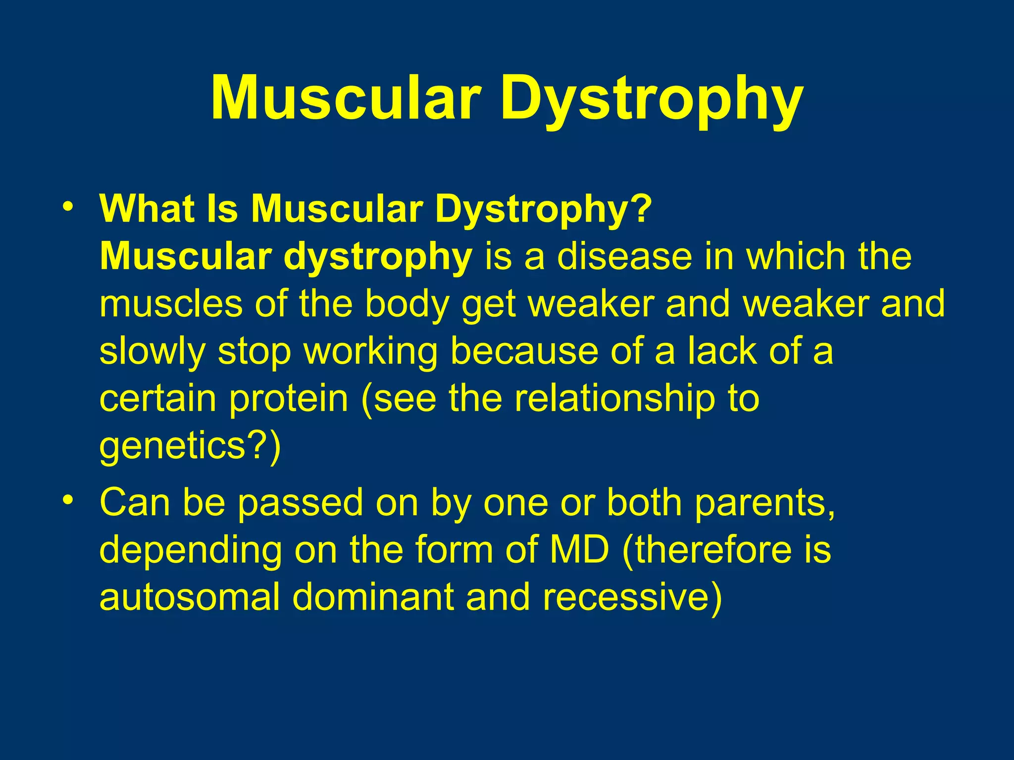 Muscular Dystrophy
• What Is Muscular Dystrophy?
  Muscular dystrophy is a disease in which the
  muscles of the body get weaker and weaker and
  slowly stop working because of a lack of a
  certain protein (see the relationship to
  genetics?)
• Can be passed on by one or both parents,
  depending on the form of MD (therefore is
  autosomal dominant and recessive)
 
