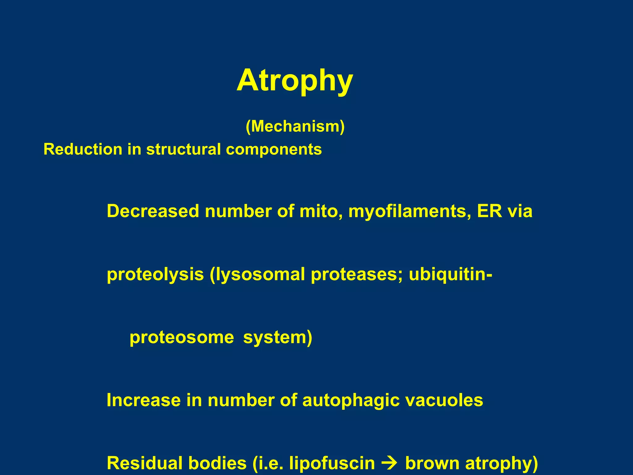 Atrophy
                          (Mechanism)
Reduction in structural components


       Decreased number of mito, myofilaments, ER via


       proteolysis (lysosomal proteases; ubiquitin-


          proteosome system)


       Increase in number of autophagic vacuoles


       Residual bodies (i.e. lipofuscin  brown atrophy)
 