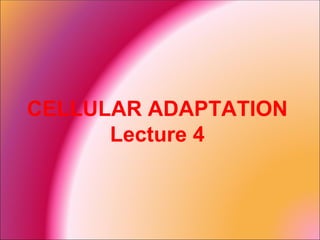 CELLULAR ADAPTATION
      Lecture 4
 