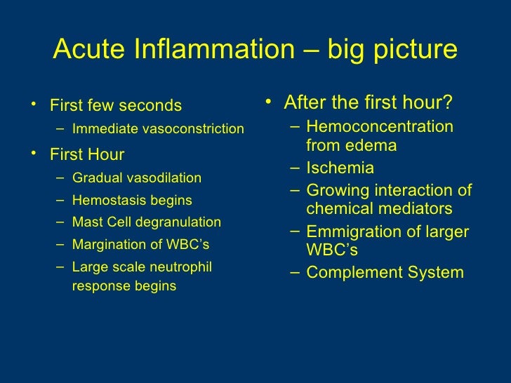 General pathology lecture 5 inflammation & repair
