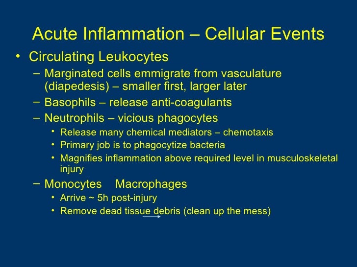 General pathology lecture 5 inflammation & repair