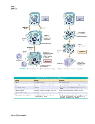 AAS
DENT 3J
General Pathology Lec
 