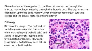 General Pathology of Infections and Acute Bacterial Infections 23_5_23 ...