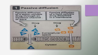 GENERAL PHARMACOLOGY PPT. DT 2nd year.pptx