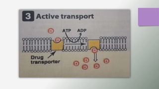 GENERAL PHARMACOLOGY PPT. DT 2nd year.pptx