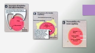 GENERAL PHARMACOLOGY PPT. DT 2nd year.pptx