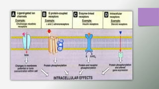 GENERAL PHARMACOLOGY PPT. DT 2nd year.pptx