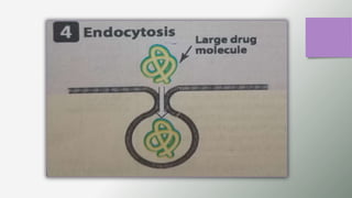 GENERAL PHARMACOLOGY PPT. DT 2nd year.pptx