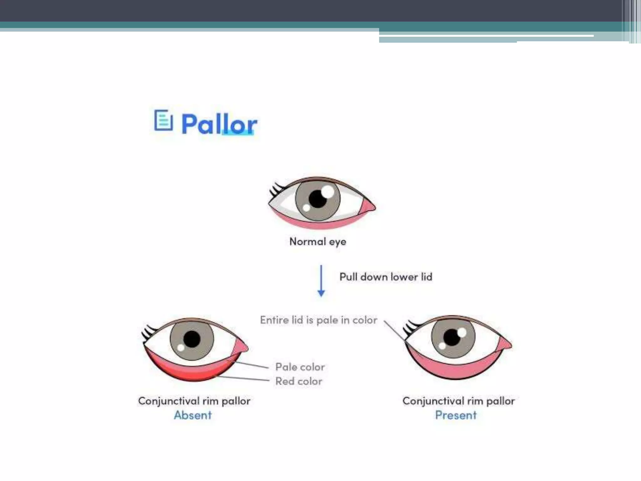 General, Physical And Systemic Examination.pptx
