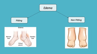 General Physical Examination of human body | PPTX