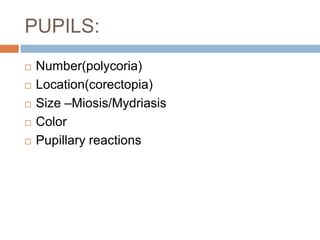 General Physical Examination - Importance in Practice | PPTX