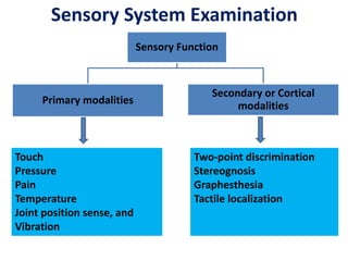 Sensory System Examination
Sensory Function
Primary modalities
Secondary or Cortical
modalities
Touch
Pressure
Pain
Temperature
Joint position sense, and
Vibration
Two-point discrimination
Stereognosis
Graphesthesia
Tactile localization
 
