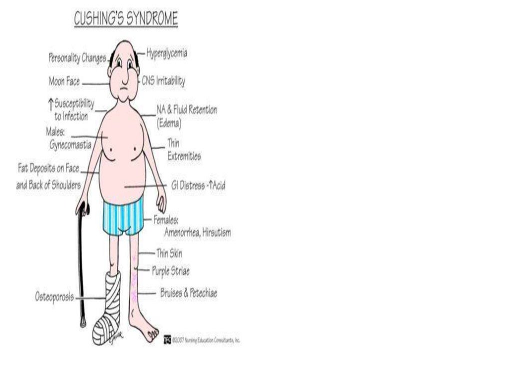 General physical examination of cvs 
