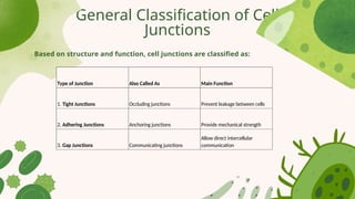 General Physiology: The Foundation of Life and Cellular Function.pptx