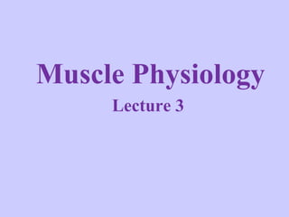 Muscle Physiology Lecture 3 