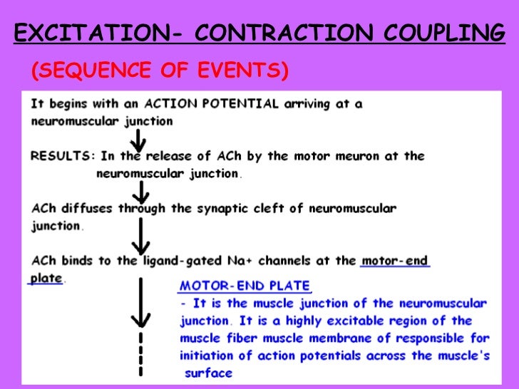 General physiology lecture 3