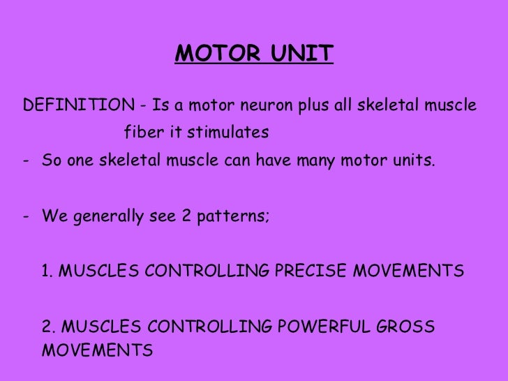 Motor Unit Definition Anatomy