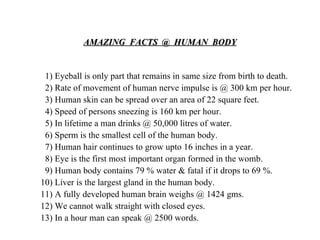 AMAZING  FACTS  @  HUMAN  BODY 1) Eyeball is only part that remains in same size from birth to death. 2) Rate of movement of human nerve impulse is @ 300 km per hour. 3) Human skin can be spread over an area of 22 square feet. 4) Speed of persons sneezing is 160 km per hour. 5) In lifetime a man drinks @ 50,000 litres of water. 6) Sperm is the smallest cell of the human body. 7) Human hair continues to grow upto 16 inches in a year. 8) Eye is the first most important organ formed in the womb. 9) Human body contains 79 % water & fatal if it drops to 69 %. 10) Liver is the largest gland in the human body. 11) A fully developed human brain weighs @ 1424 gms. 12) We cannot walk straight with closed eyes. 13) In a hour man can speak @ 2500 words. 