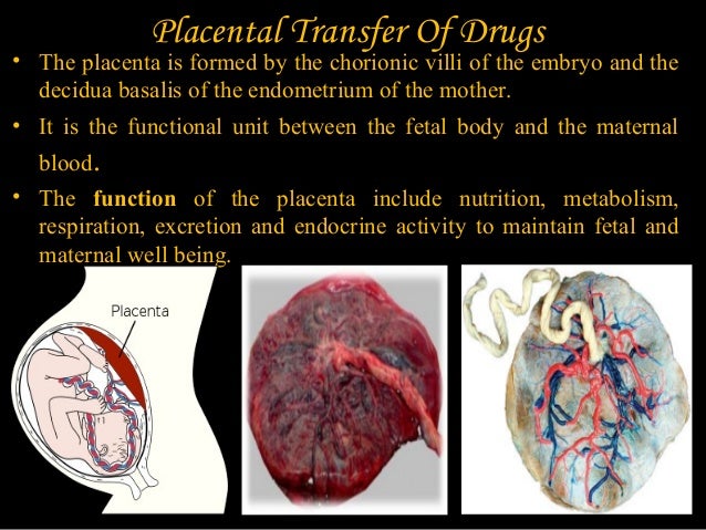 General prescribing guidelines for pediatrics, geriatrics and pregnan…