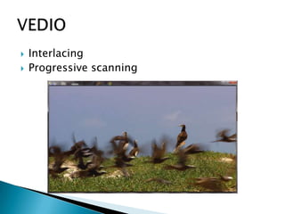 Progressive Scan Process General presentation | PPTX