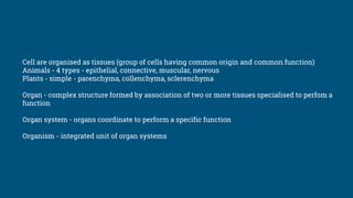 Cell are organised as tissues (group of cells having common origin and common function)
Animals - 4 types - epithelial, connective, muscular, nervous
Plants - simple - parenchyma, collenchyma, sclerenchyma
Organ - complex structure formed by association of two or more tissues specialised to perfom a
function
Organ system - organs coordinate to perform a specific function
Organism - integrated unit of organ systems