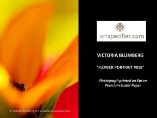 VICTORIA BLUMBERG

“FLOWER PORTRAIT #018”


 Photograph printed on Epson
    Premium Luster Paper
 