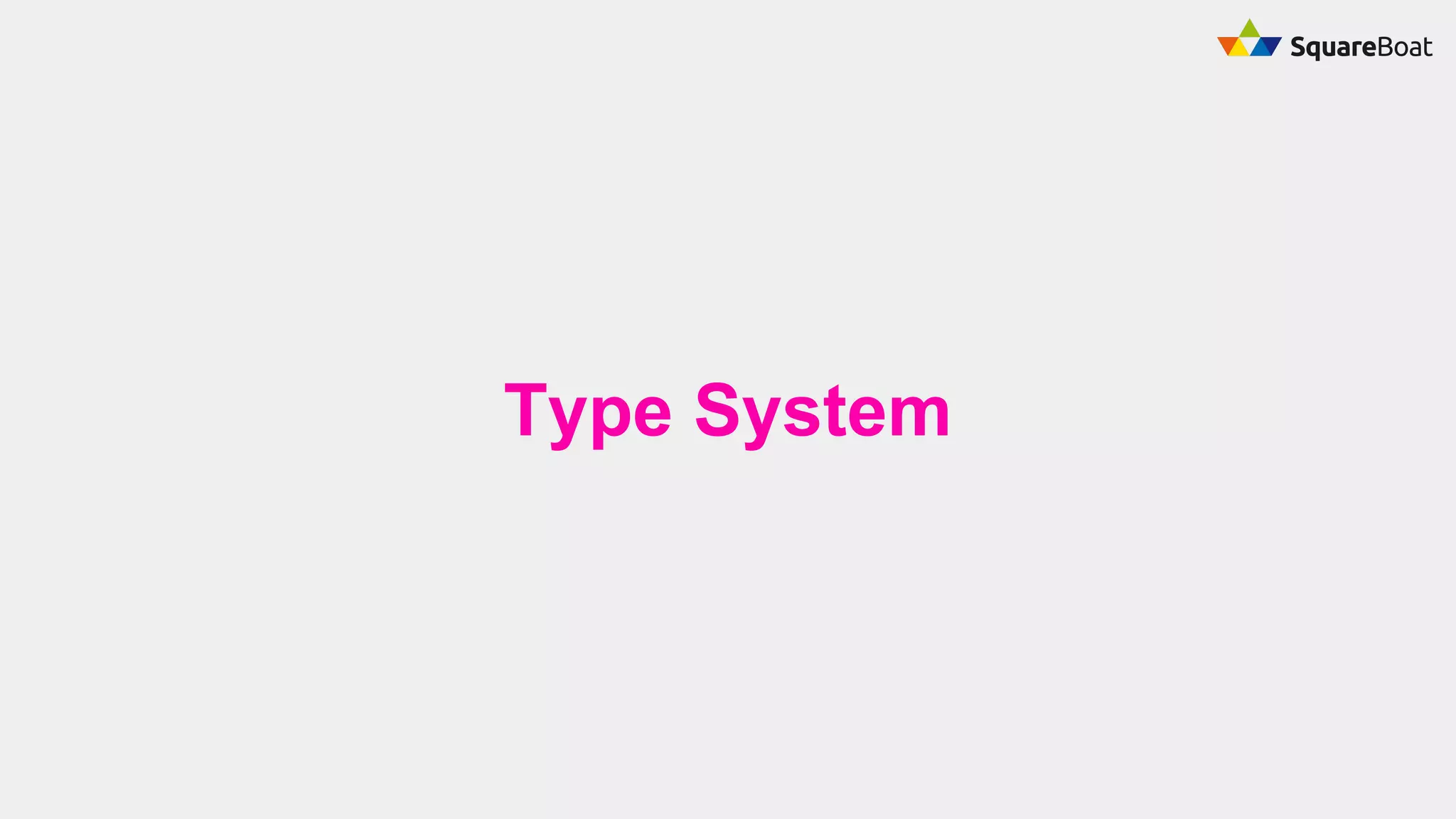 Type System