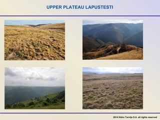 UPPER PLATEAU LAPUSTESTI
2014 Hidro Tarnița S.A. all rights reserved
 