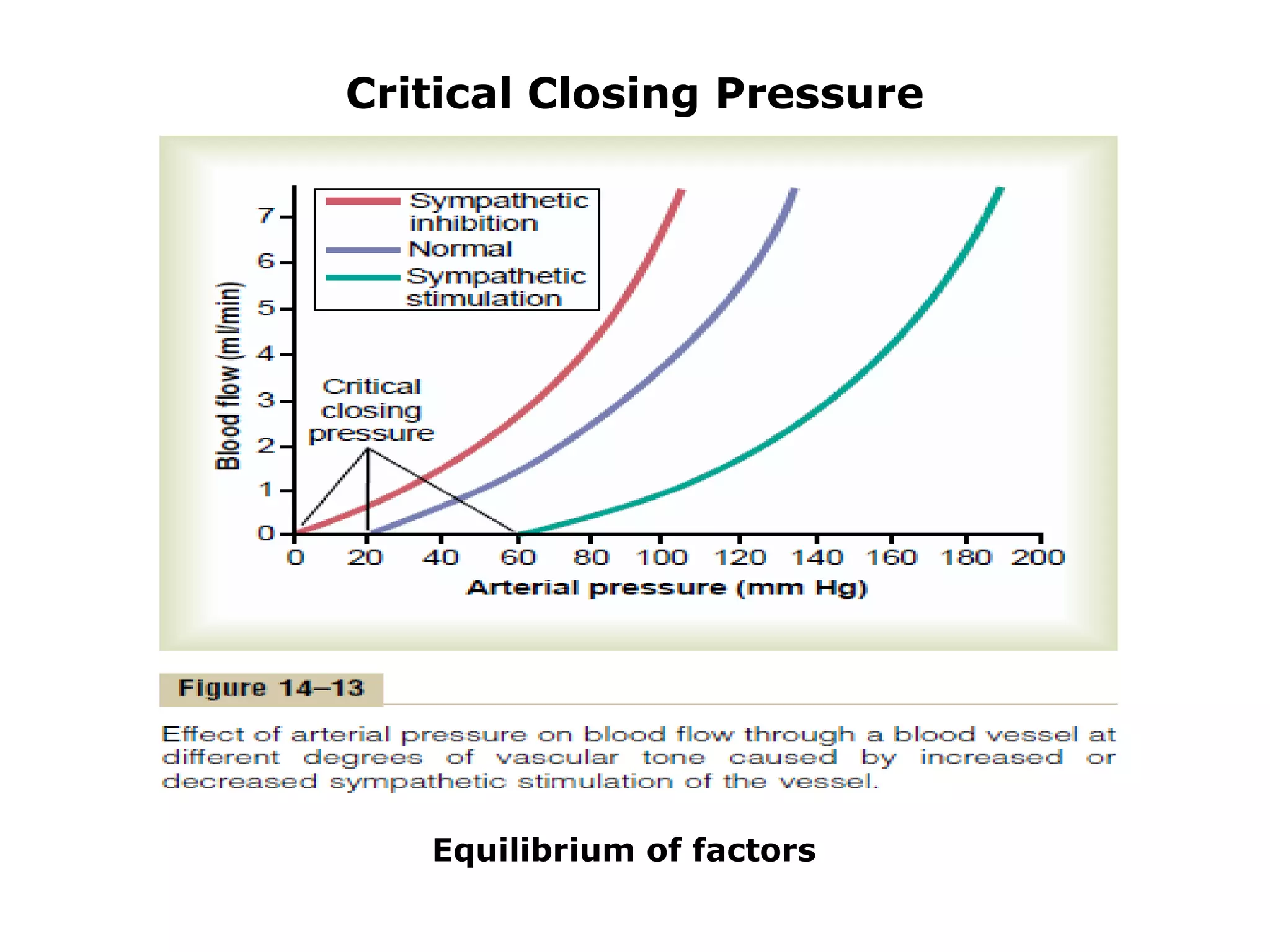 Critical Closing Pressure
Equilibrium of factors
 