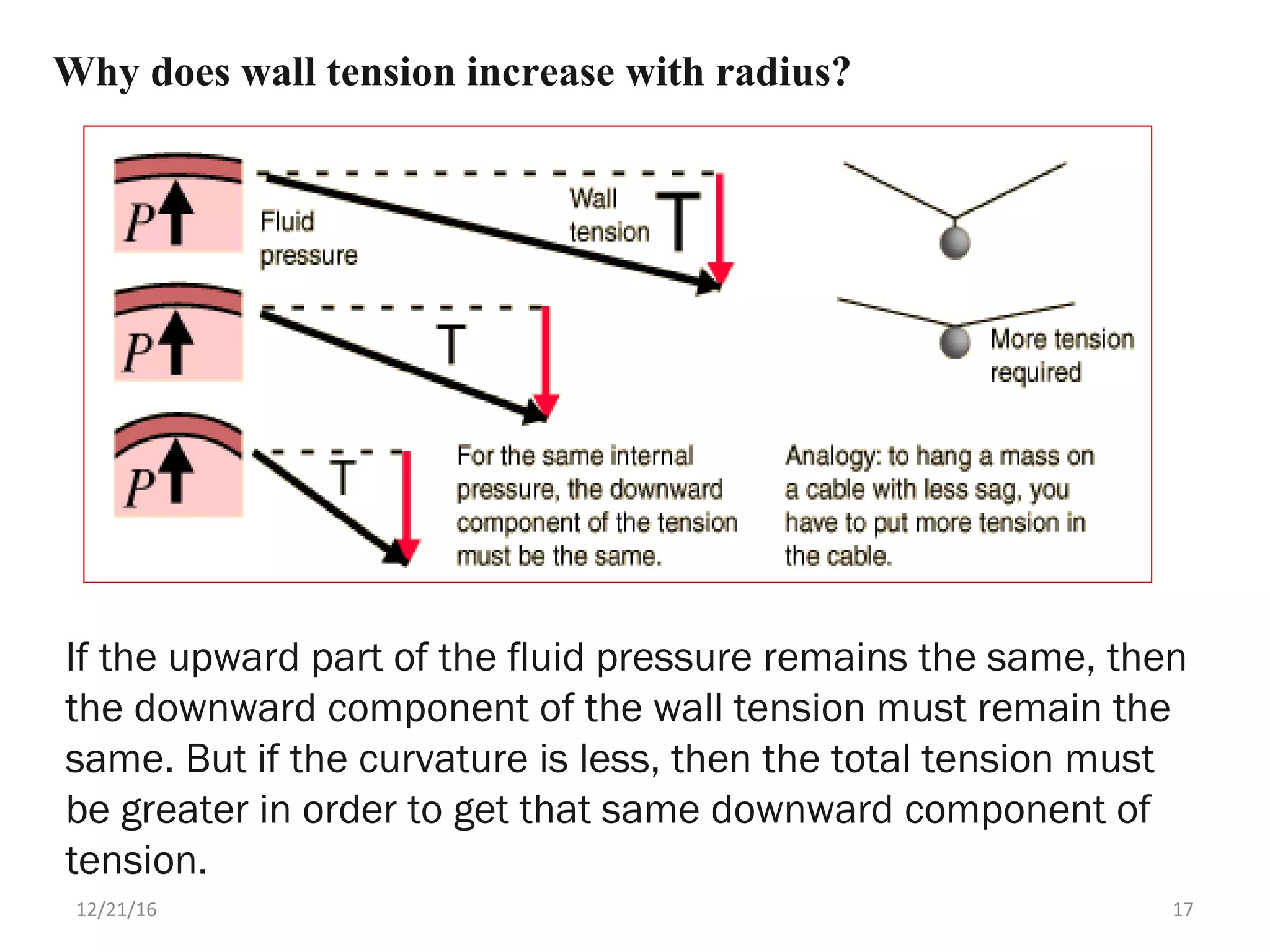 Why does wall tension increase with radius?
If the upward part of the fluid pressure remains the same, then
the downward component of the wall tension must remain the
same. But if the curvature is less, then the total tension must
be greater in order to get that same downward component of
tension.
12/21/16 17
 