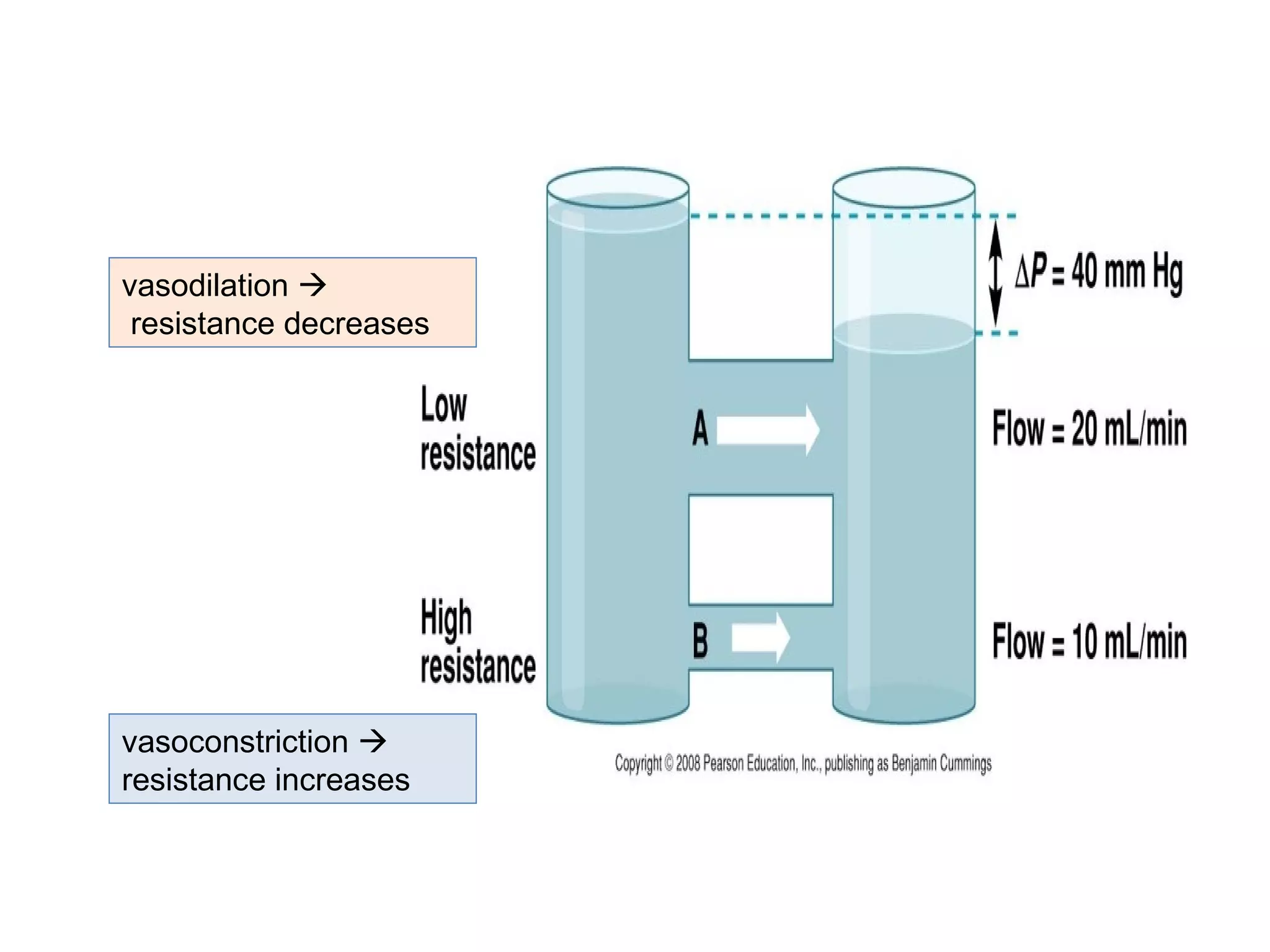 vasodilation 
resistance decreases
vasoconstriction 
resistance increases
 