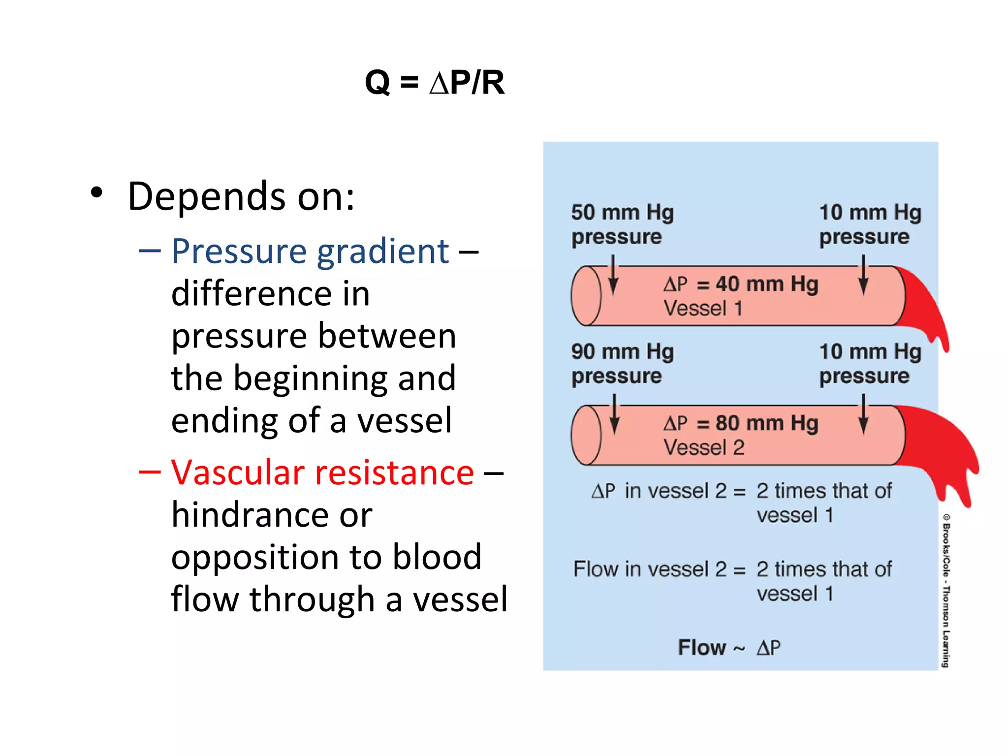 Q = ∆P/R
• Depends on:
– Pressure gradient –
difference in
pressure between
the beginning and
ending of a vessel
– Vascular resistance –
hindrance or
opposition to blood
flow through a vessel
 