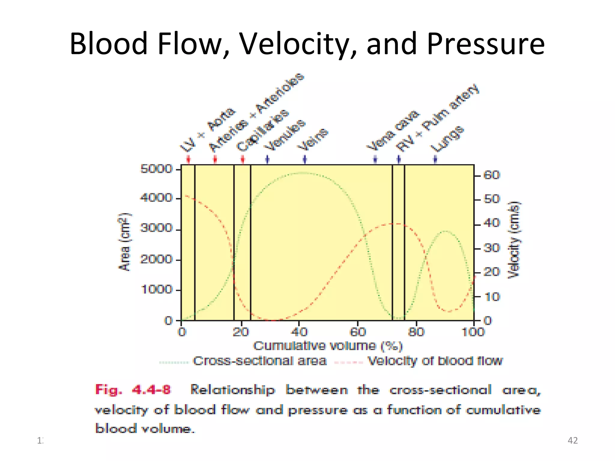Blood Flow, Velocity, and Pressure
12/21/16 42
 