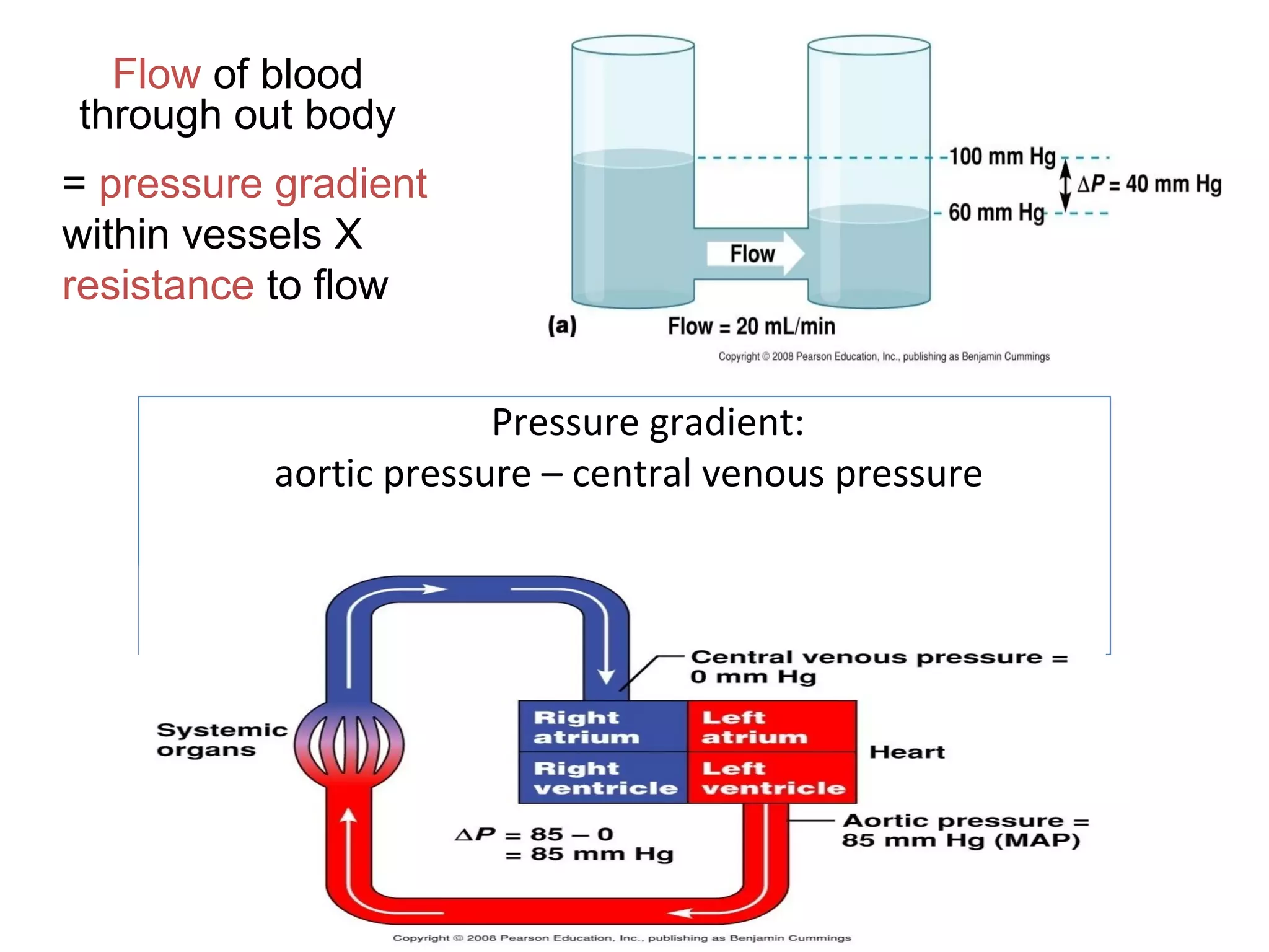 Pressure gradient:
aortic pressure – central venous pressure
Flow of blood
through out body
= pressure gradient
within vessels X
resistance to flow
 