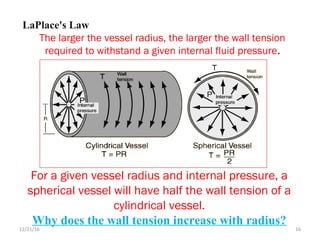 LaPlace's Law
The larger the vessel radius, the larger the wall tension
required to withstand a given internal fluid pressure.
For a given vessel radius and internal pressure, a
spherical vessel will have half the wall tension of a
cylindrical vessel.
Why does the wall tension increase with radius?
12/21/16 16
 