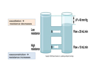 vasodilation 
resistance decreases
vasoconstriction 
resistance increases
 