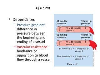 Q = ∆P/R
• Depends on:
– Pressure gradient –
difference in
pressure between
the beginning and
ending of a vessel
– Vascular resistance –
hindrance or
opposition to blood
flow through a vessel
 