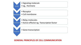 Fundamental Principles of Cell Communication and Signal Transduction | PPTX