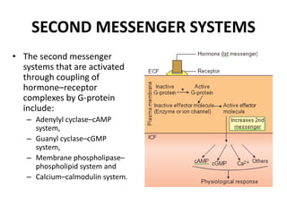 general principles of endocrine system.pptx
