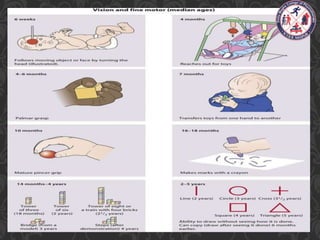Maturation Human Development General principlesof human development and maturation | PPTX