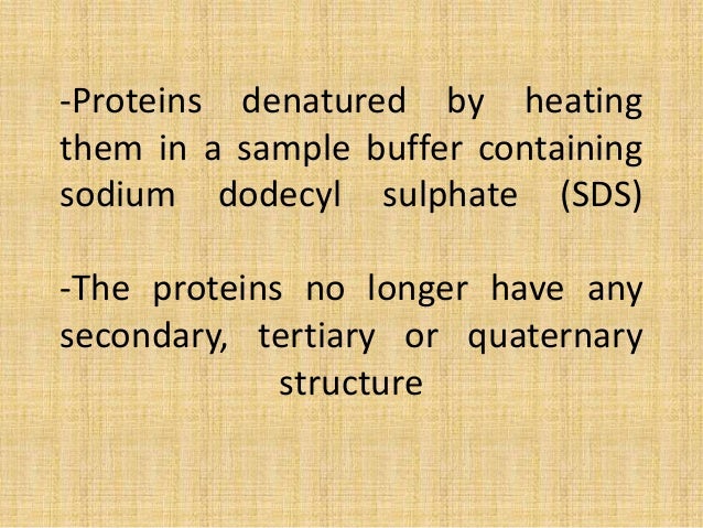 principles of seed production pdf