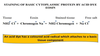 Generalized Staining GENERAL PRINCIPLES OF STAINING AND H & E STAIN.pptx