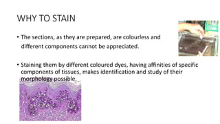 GENERAL PRINCIPLES OF STAINING AND H & E STAIN.pptx