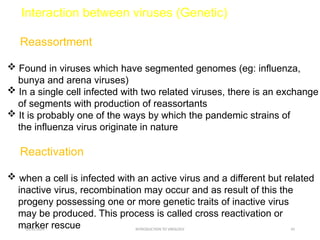 microbiology-General properties of viruses .pptx